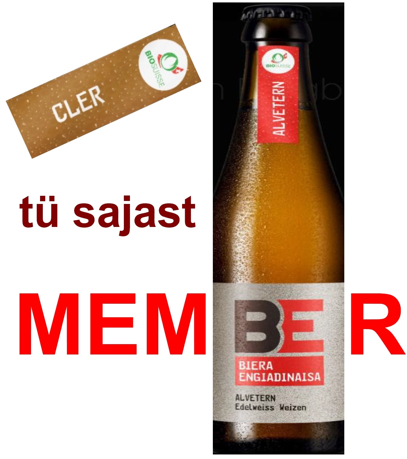 Flyer Verein BE Insembel