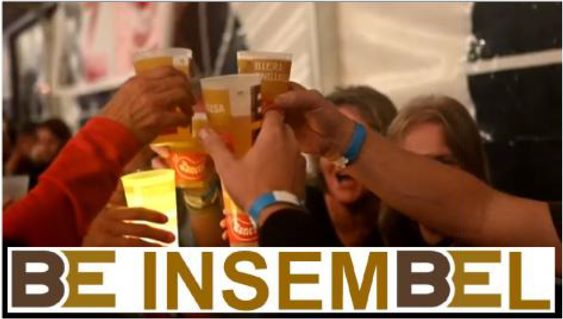 Statuten des Vereins BE Insembel